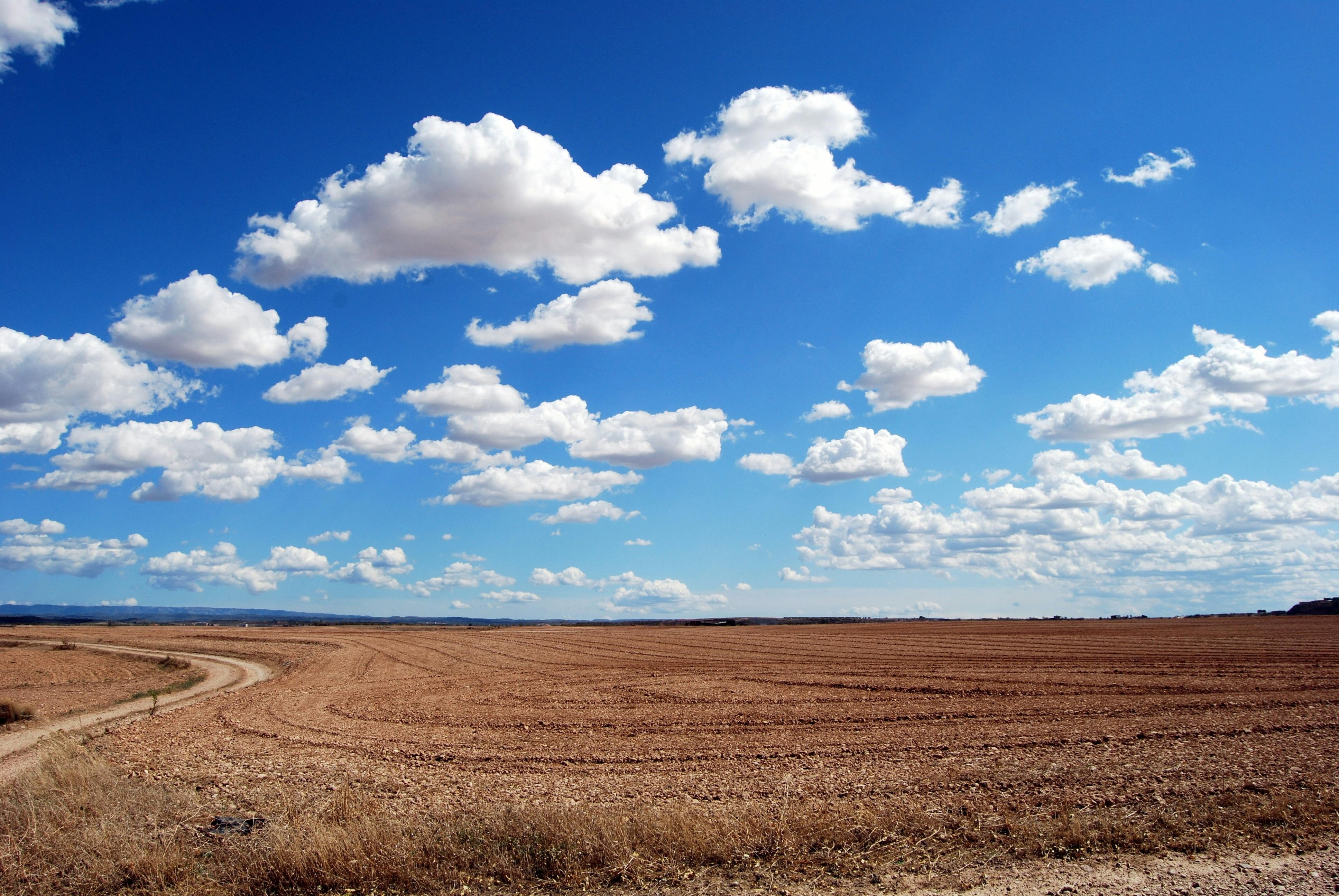["field","sky","dirt","road"]