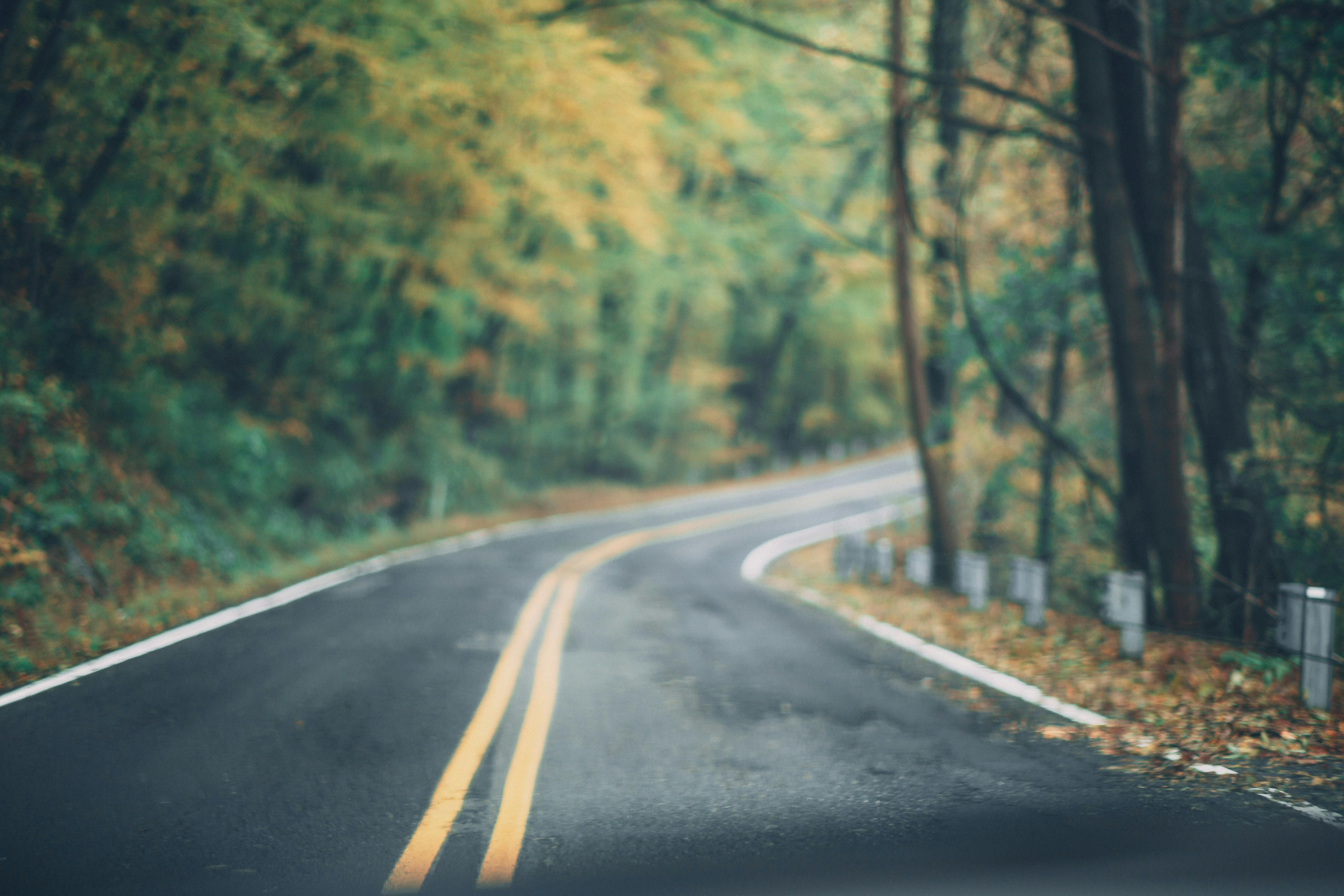 ["electric vehicles"]