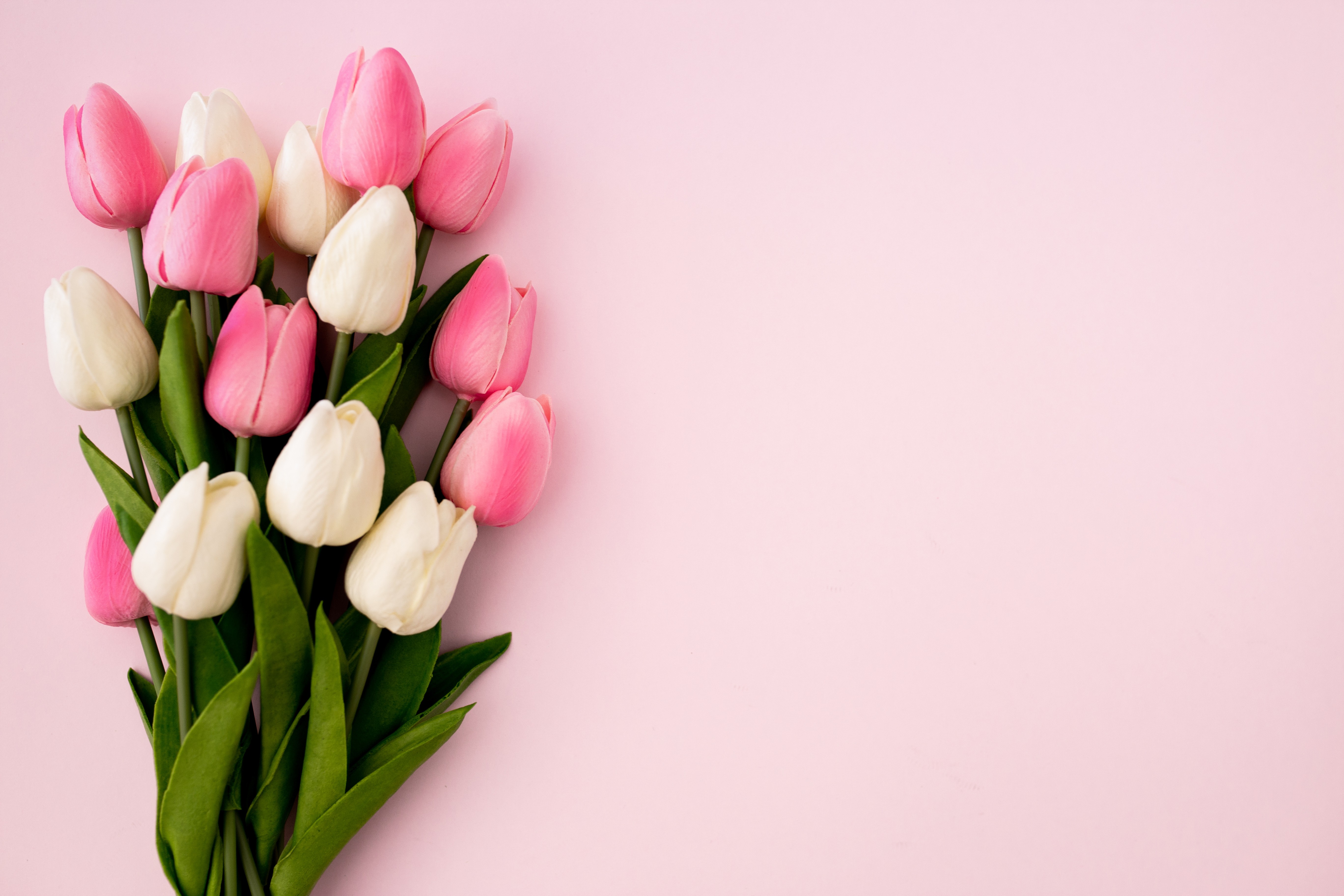["bouquet","tulips","background"]