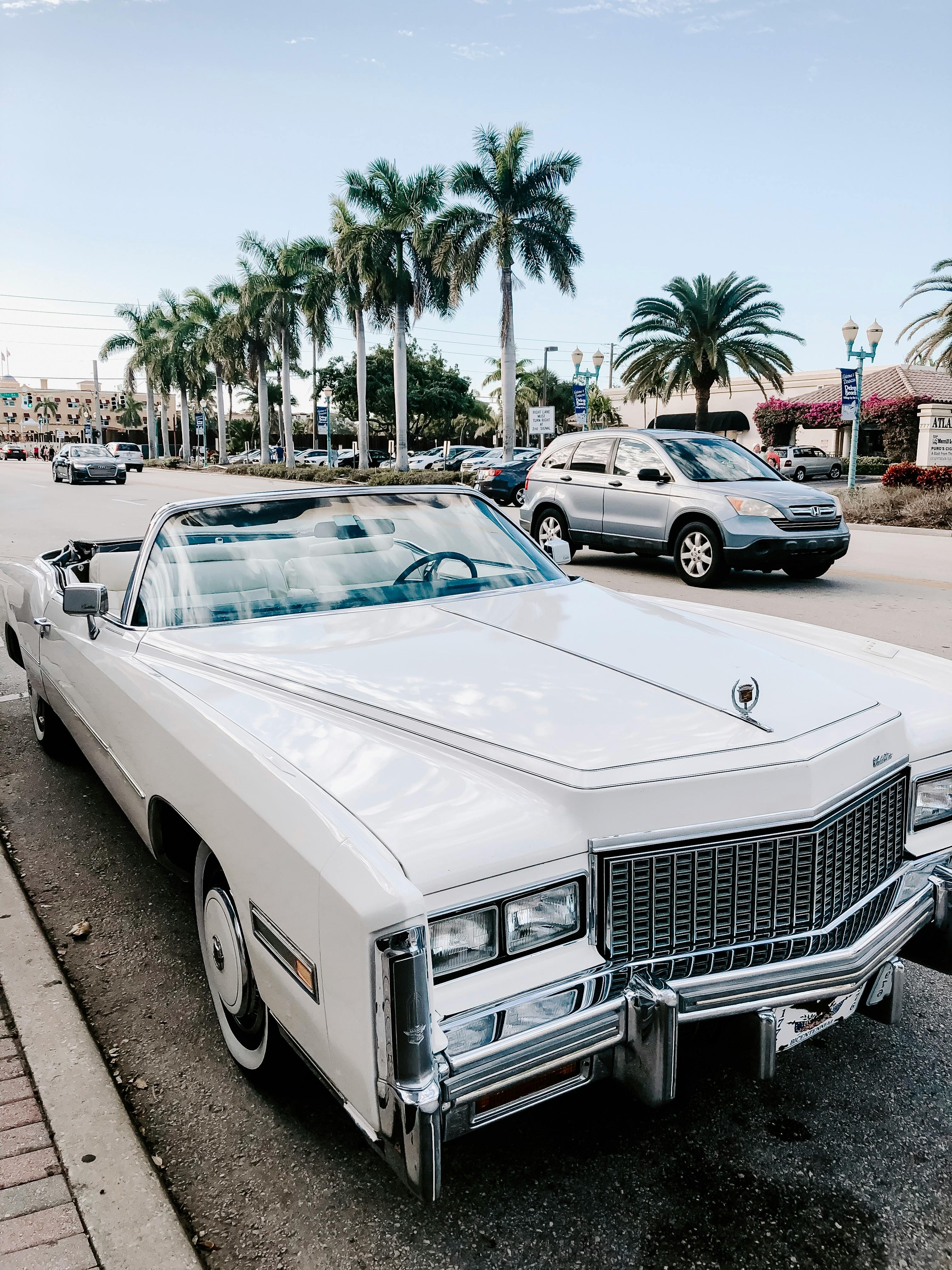 ["cars","car"]