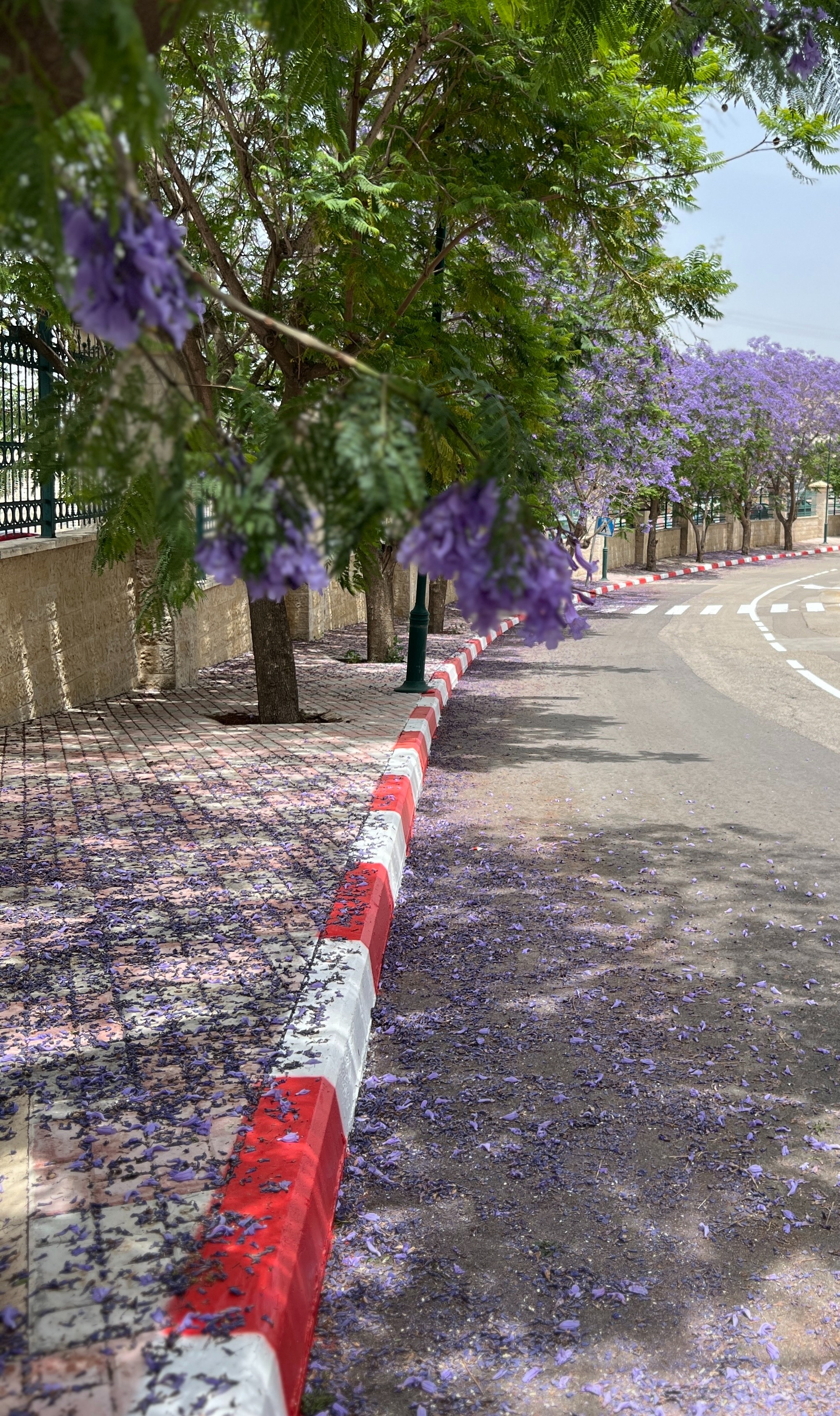 ["street","fence"]